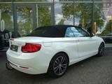 BMW Cabrio 218 i Sport Line AHK abn./LED/Windschott - BMW: Windschott