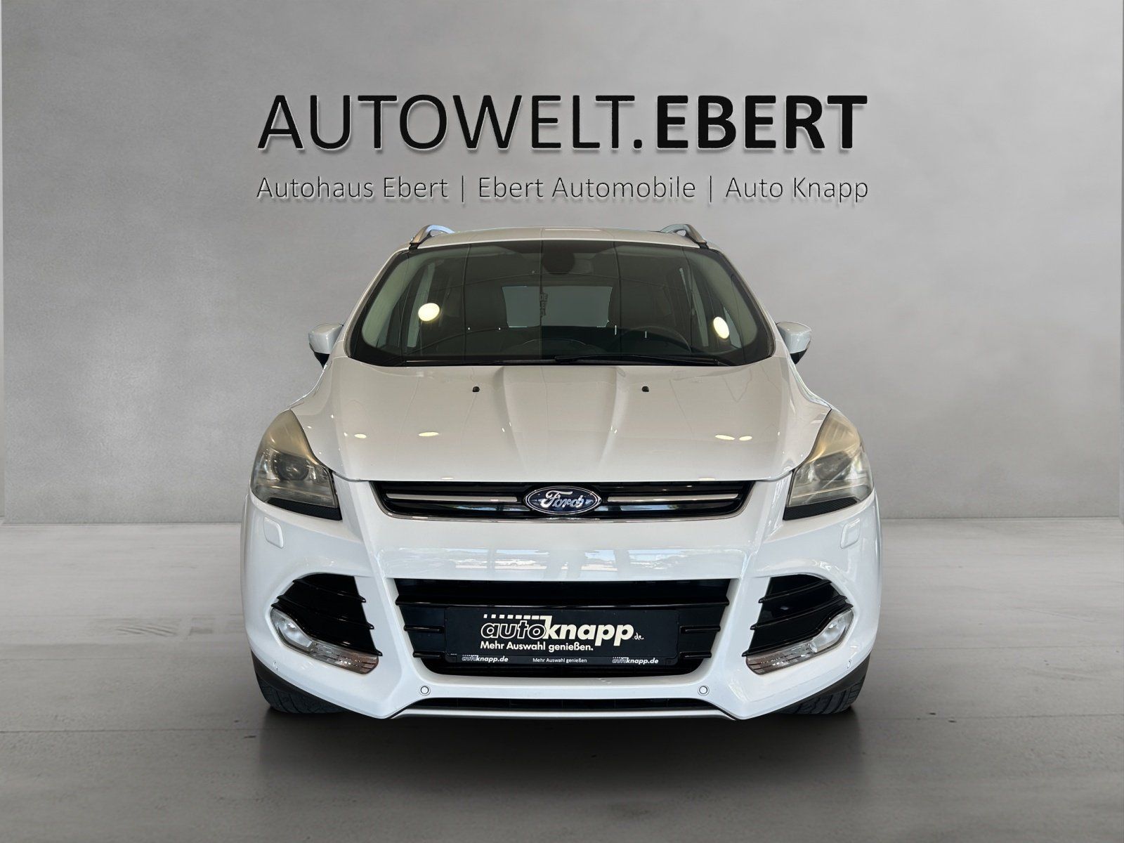 Fahrzeugabbildung Ford Kuga Titanium 1,6 Ecoboost 4x4 Automatik