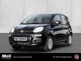 Fiat Panda Easy 1.2 8V EU6d-T DAB PDC Berganfahrass.  - Fiat Panda Gebrauchtwagen in Aachen