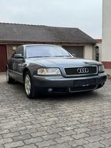 Audi Einer der letzten Audi A8 4D 3.3 TDI V8 Sa... - Audi A8 aus 2002