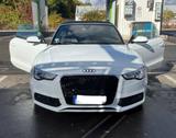 Audi A5 Cabrio- S-line 3.0 TDI V6  - Audi Cabriolet mit Diesel-Antrieb