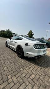 Ford Mustang 5.0 DeutscheAusführung Grail Abgasanlage - Ford Mustang in Düsseldorf