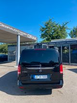Mercedes-Benz V -Klasse300 d AVANTGARDE EDITION lang - Mercedes-Benz: Klasse