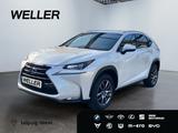 Lexus NX 300h Business Edition *LED*RCam*SHZ*Navi*PDC* - Lexus: L