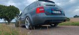 Audi RS6 4.2 tiptronic quattro Avant - - Audi RS6: 4.2