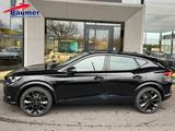 Cupra Formentor VZ Black Ed 1.5e-HYBRID AHK Sennh Navi - Cupra Formentor Gebrauchtwagen
