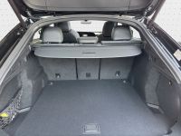 Audi SQ5 - Vorschau Bild 8