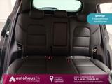Kia Sportage 1.6 T-GDI 4WD Navi|CAM|Sitzhzg.|Tempom. - Kia aus 2022