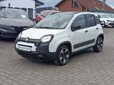 Fiat Panda Waze 1.2 #DAB #PDC #BiColore - Fiat Panda Gebrauchtwagen in Krefeld