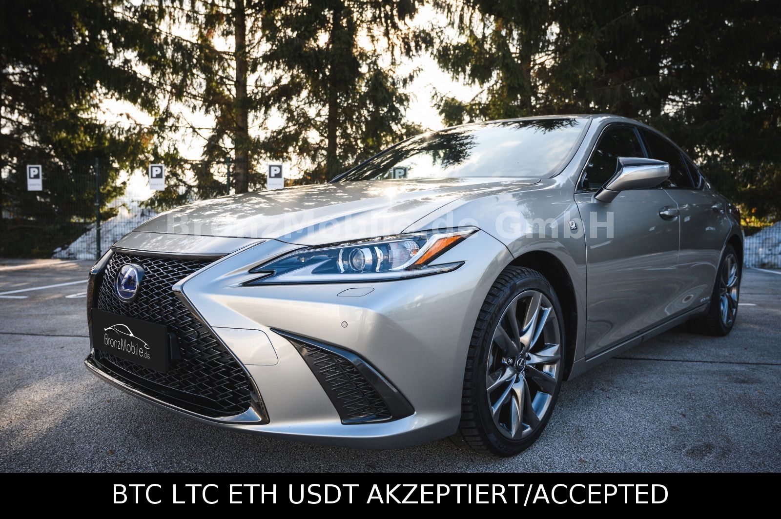 ES 300h F SPORT Mark Levinson Pure PLay