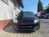Volkswagen VW Polo 6R GTI DSG Panorama Steuerkette Ne... - Volkswagen Polo mit Benzin-Antrieb: 6n GTI