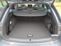 Cupra Leon - Vorschau Bild 8
