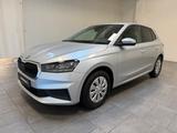 Skoda Fabia 1.0 TSI Carplay|LED|PDC|Sitzhzg. - Skoda Fabia Gebrauchtwagen in Frankfurt
