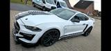 Ford Mustang 2.3, 317ps, Shelby Cobra GT500  - Ford Mustang Gebrauchtwagen in Bielefeld