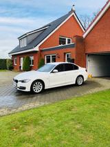 BMW 316i Sport Line Sport Line - BMW 316: Weiß