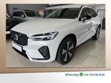 Volvo XC60 T8 Plus Dark Recharge AWD ACC BLIS Kamera - Volvo XC60: Recharge Plus Dark
