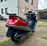 Honda Fes 250 - ROLLER 250