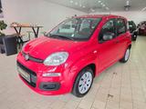 Fiat Panda Pop 1.Hand Scheckheft Klima Tüv 03-27