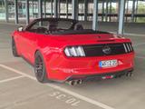 Ford Mustang 5.0 V8 Cabrio GRAIL Schalter - Ford Mustang Gebrauchtwagen in Braunschweig