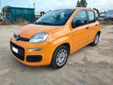 Fiat Panda 1.0 FireFly S&S Hybrid Easy - Fiat Panda EASY mit Hybrid-Antrieb (Benzin/Elektro)