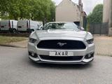 Ford Mustang  Convertible*PERFORMANCE PAKET* - Ford Mustang: Performance
