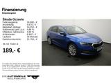 Skoda Octavia Combi III First Edition Sitzhzg v+h/Lenk - Skoda Octavia: Ii