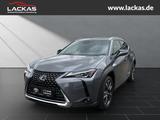 Lexus UX 250h 250H*STYLE EDITION*ALLWETTER*TOP*TWW*SIT - Lexus UX: Style Edition