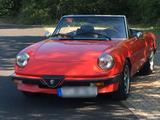 Alfa Romeo Spider 1.6 Cabrio Oldtimer H-Ke... - Alfa Romeo aus 1984
