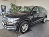 Skoda Kodiaq 1.5 TSI Ambition m. Navi/8-fach/Bluetooth - Skoda Kodiaq bis 20.000 Euro