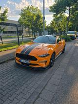 Ford mustang 2.3 virtual/totwink/Rkam/AmbiLgt - Ford Mustang in Freiburg