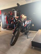Aprilia RX 125 ABS ab 16 Jahre - APRILIA RX