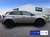 Opel Grandland (X) 1.2 Mild-Hybrid GS Line (EURO 6e) - silberne Opel Grandland (X)
