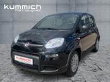 Fiat Panda Hybrid 1.0l 70PS - Fiat Panda Vorführfahrzeuge