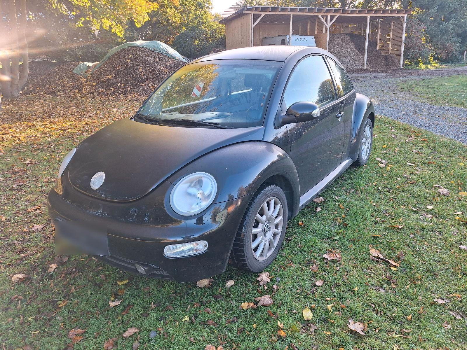 Volkswagen New Beetle