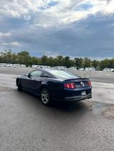 Ford Mustang - gebrauchte Ford Mustang aus dem Jahr 2010