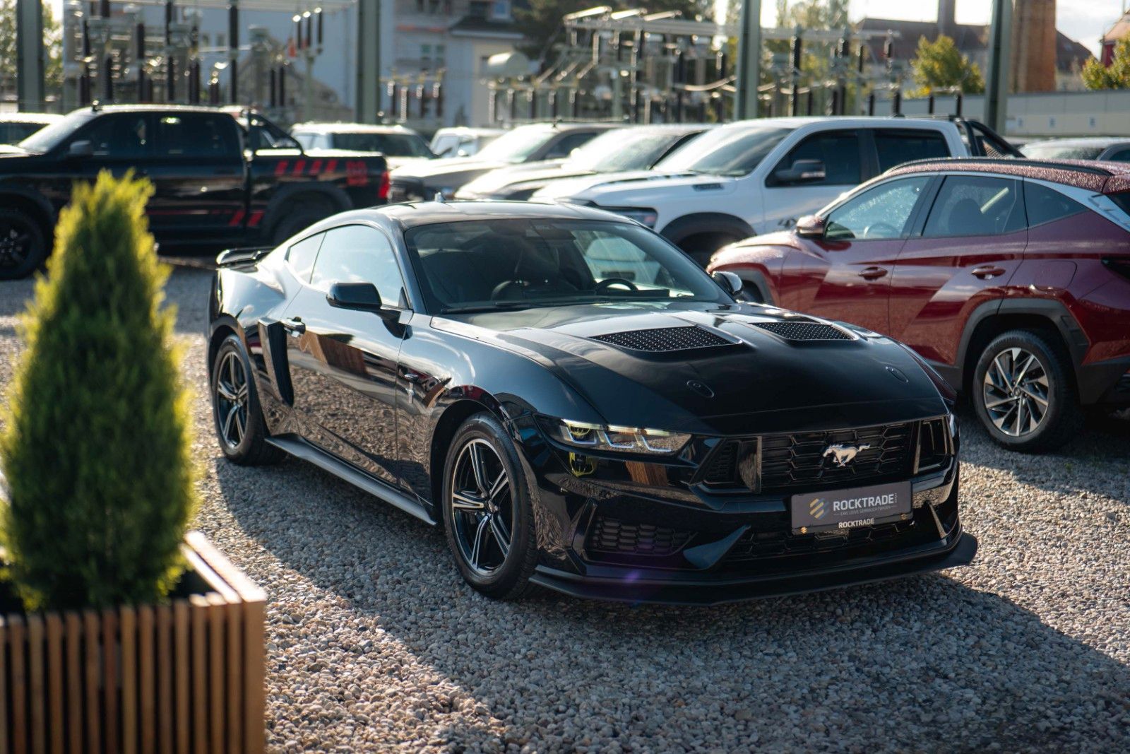 Fahrzeugabbildung Ford Mustang GT Coupe DARK HORSE MY2024 LED 19%