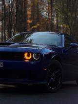 Dodge Challenger GT AWD 3.6 V6 Alpine Kamera TV Alcan. - Dodge Challenger AWD Gebrauchtwagen