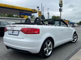 Audi A3 Cabriolet Ambition/S-Heft/Alcan/Bose/SHZ/Xen - Audi A3 aus 2010: Cabrio