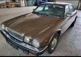 Jaguar XJ12, Klimaanlage, Schiebedach - Jaguar Gebrauchtwagen von 1985
