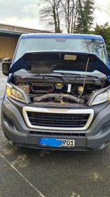 Peugeot Boxer Y, Version GY, L1 H1 - Angebote