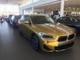 BMW X2 xDrive20d M Sport X Steptronic M Sport X - BMW X2 aus 2017