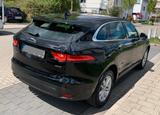 Jaguar F-Pace 20d Aut*NAVI*TEMP*AHK*PDC*Sitzhz*18Zoll - Jaguar F-Pace von privat
