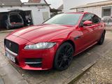 Jaguar XF 30d 300PS R-Sport Automatik R-Sport - rote Jaguar XF