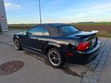 Ford Mustang - Ford Mustang aus 2003