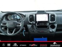 Autohaus Thorwesten Gebrauchtwagen