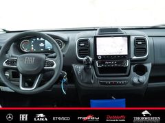 Autohaus Thorwesten Gebrauchtwagen