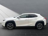 Lexus UX 250h*STYLE.*1HD*SHZ*NAVI*CARPLAY* - Lexus aus 2021