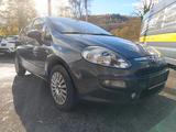 Fiat Punto Evo Dynamic - Fiat Punto Evo: Dynamic