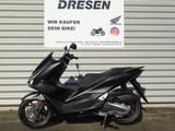 Honda PCX 125 ABS * 2025 * kleines Display * - HONDA ROLLER 125 PCX