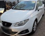 Seat Ibiza ST Sport - Seat Ibiza aus 2010: Sport